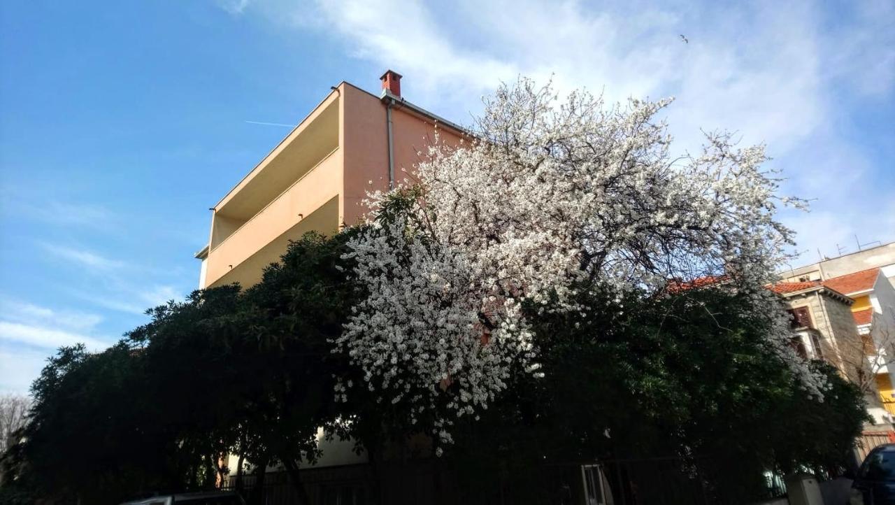 Split Symphony Veranda: Modern, New Apartment エクステリア 写真