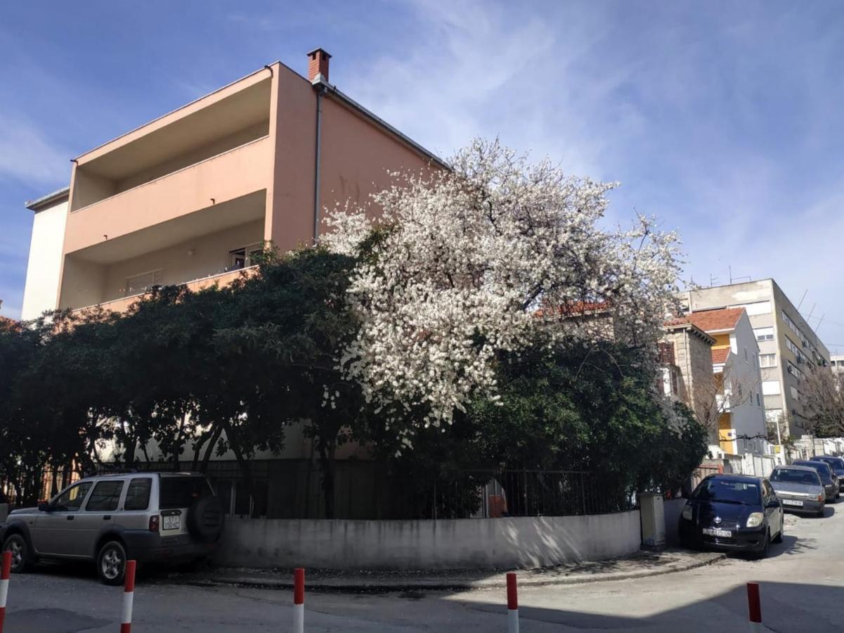 Split Symphony Veranda: Modern, New Apartment エクステリア 写真